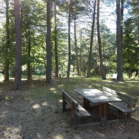 Διαμέρισμα Attico Selva Dei Pini